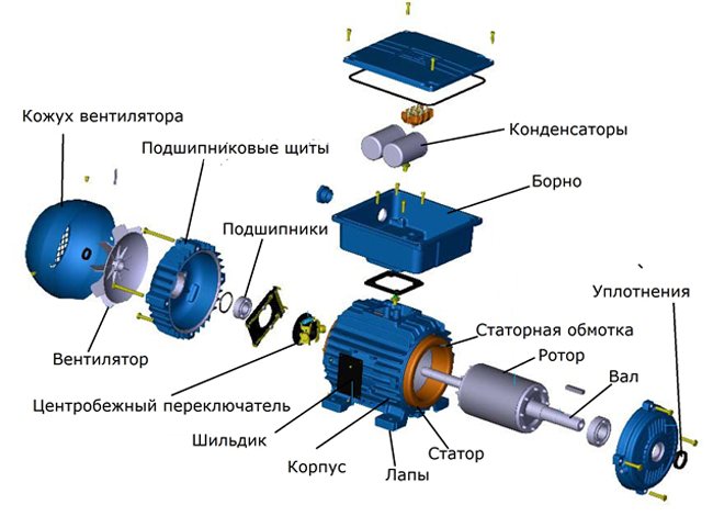 Однофазный асинхронный двигатель: как устроен и работает