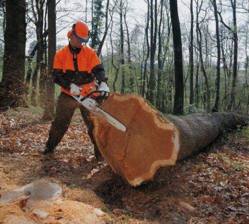 Отзывы о профессиональной бензопиле Stihl MS 660 китайской сборки