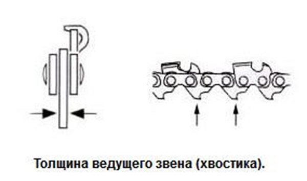 Толщина хвостика