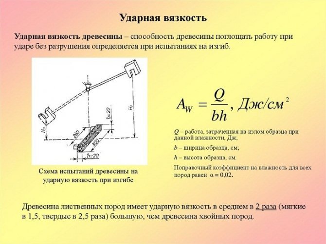 Ударная вязкость древесины